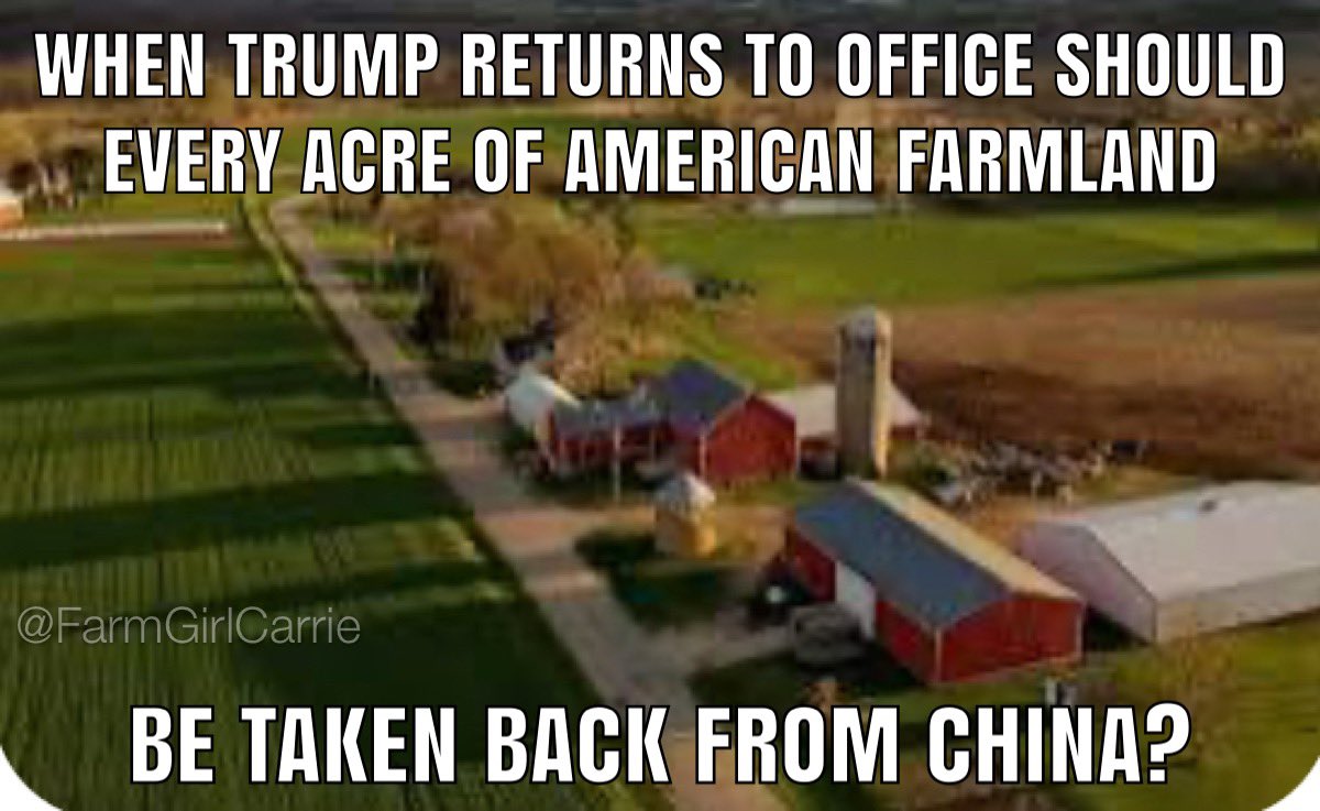 FarmGirlCarrie's tweet image. Yes or No?