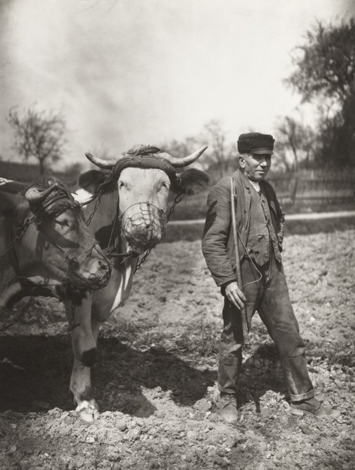 MoMA_pics's tweet photo. Farmer working the Fields https://t.co/o7Nh9pnLGl https://t.co/fS4U5rcOKr