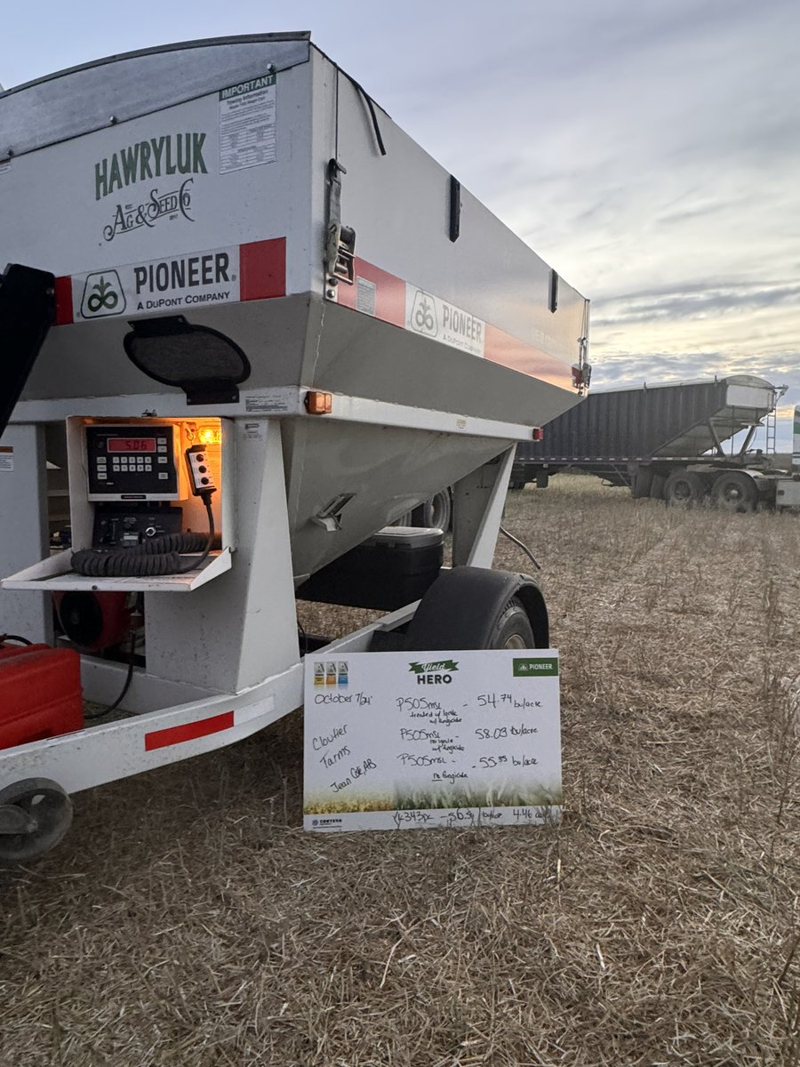 HawrylukAg's tweet photo. #YieldHero24 #YHContest 
@PioneerSeedsCA 

Yield hero weigh from Jean Cote, AB  area https://t.co/CafQhBAKUy