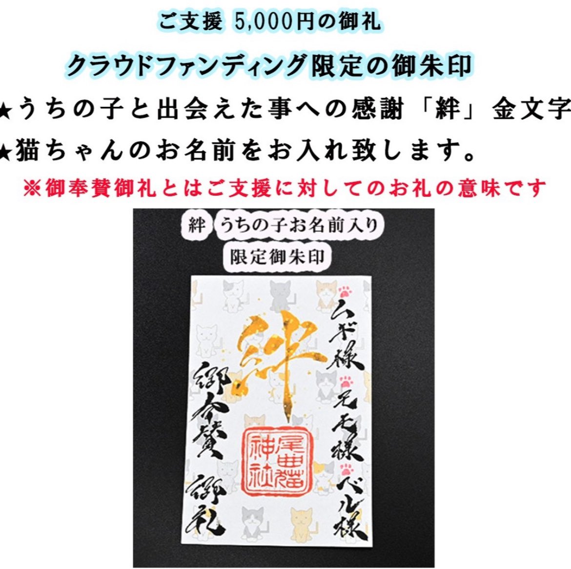 shintarotyan's tweet photo. 私も運営している猫神社が10月28日17時よりクラウドファンディングに挑戦しております！ご賛同頂ければ嬉しいです😭😭
どうぞ拡散やご支援のご協力をお願い申し上げます🙇‍♂️

「保護猫と猫を飼いたい人のご縁を繋ぐ拠点をつくり、殺処分ゼロへ」

Readyforにて開催

https://t.co/L7ouJquUHe https://t.co/bfXpQAt0wq