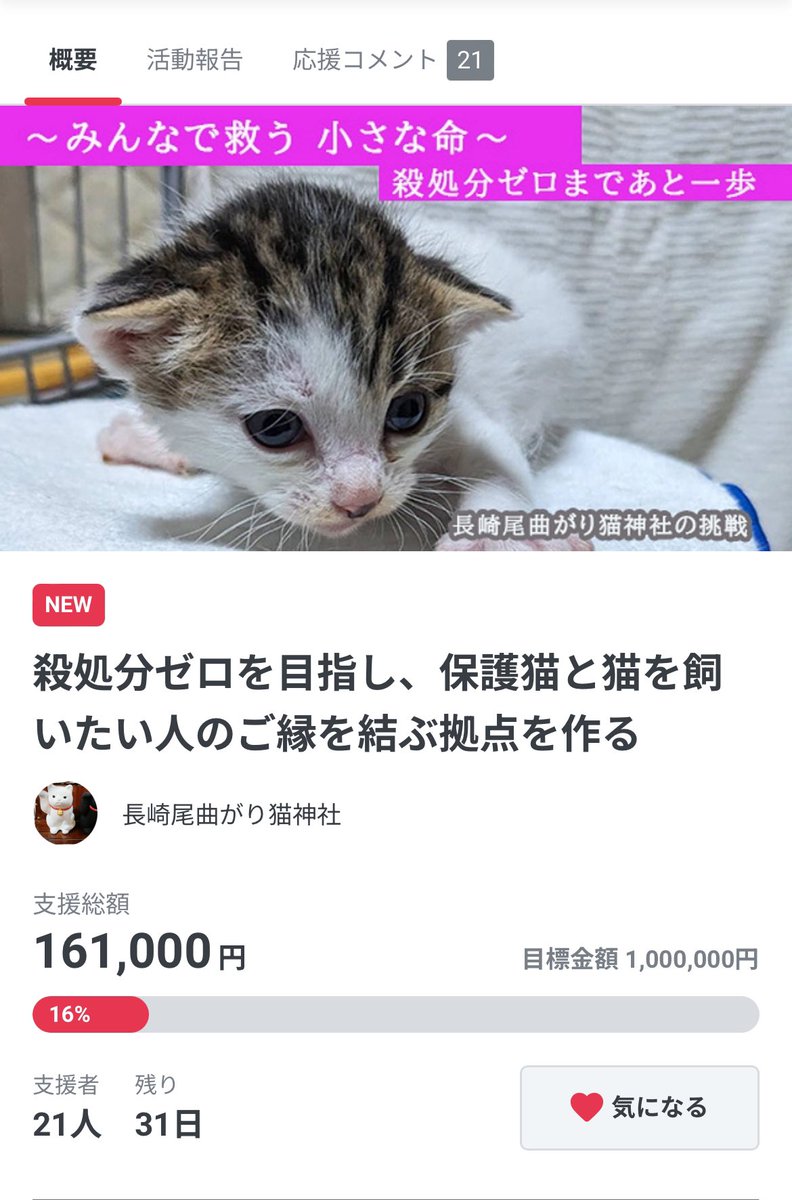 shintarotyan's tweet photo. 私も運営している猫神社が10月28日17時よりクラウドファンディングに挑戦しております！ご賛同頂ければ嬉しいです😭😭
どうぞ拡散やご支援のご協力をお願い申し上げます🙇‍♂️

「保護猫と猫を飼いたい人のご縁を繋ぐ拠点をつくり、殺処分ゼロへ」

Readyforにて開催

https://t.co/L7ouJquUHe https://t.co/bfXpQAt0wq