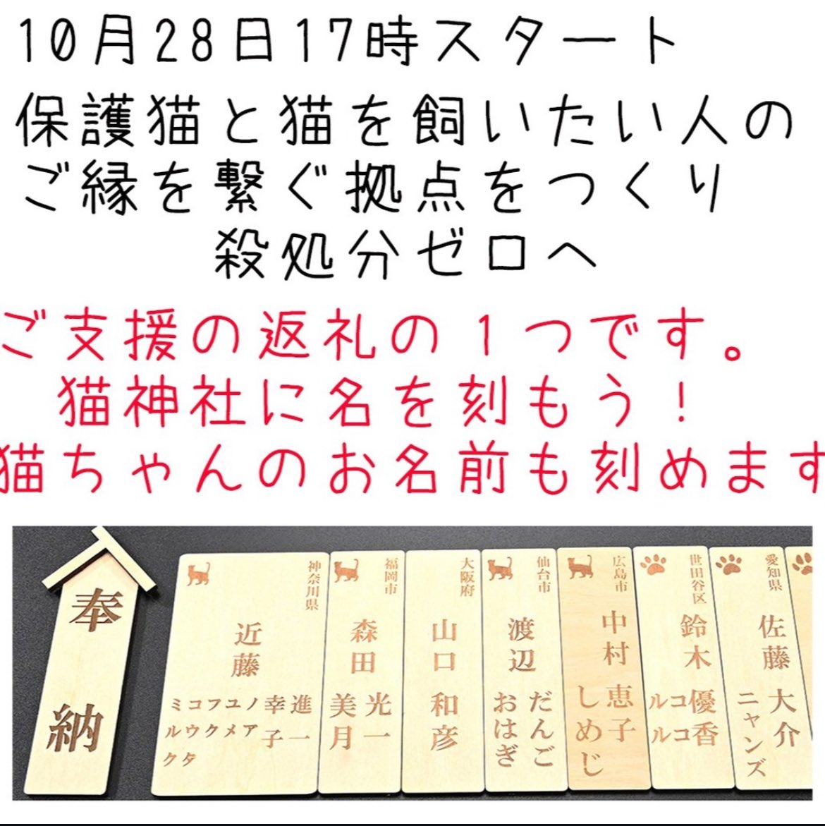 shintarotyan's tweet photo. 私も運営している猫神社が10月28日17時よりクラウドファンディングに挑戦しております！ご賛同頂ければ嬉しいです😭😭
どうぞ拡散やご支援のご協力をお願い申し上げます🙇‍♂️

「保護猫と猫を飼いたい人のご縁を繋ぐ拠点をつくり、殺処分ゼロへ」

Readyforにて開催

https://t.co/L7ouJquUHe https://t.co/bfXpQAt0wq