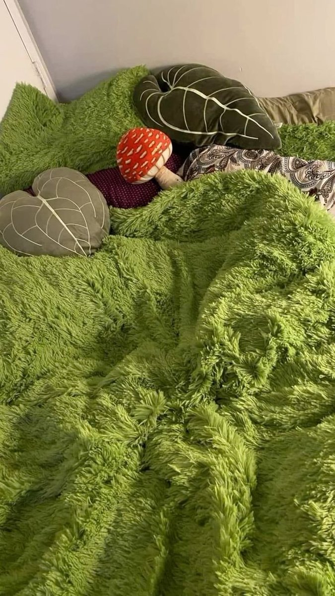 lavieestbelIe's tweet photo. Moss forest beds https://t.co/wTBk6UiUdS