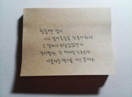 kthtrads's tweet photo. Taehyung vía Fancafe, 09/09/15.

“Cuando las cosas se pongan difíciles, detente un momento y mira hacia atrás, mira qué tan lejos has llegado. No olvides lo gratificante que es. Eres la flor más bella, más que cualquier otra en el mundo”.

WE LOVE YOU TAEHYUNG 🤍 https://t.co/rMxaN4wtzk