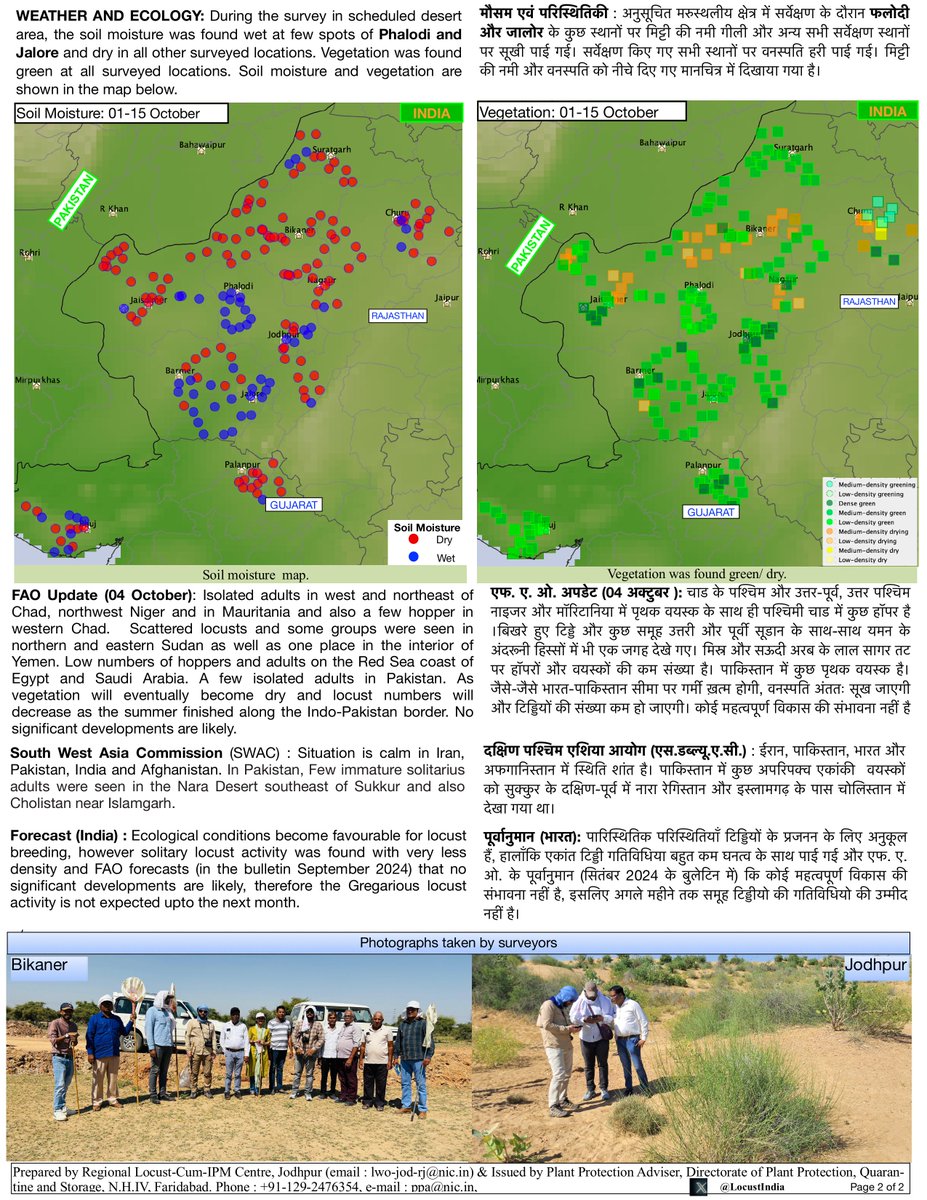 LocustIndia's tweet photo. Desert locust Bulletin First fortnight of October 2024 https://t.co/VdoqjSJAXY