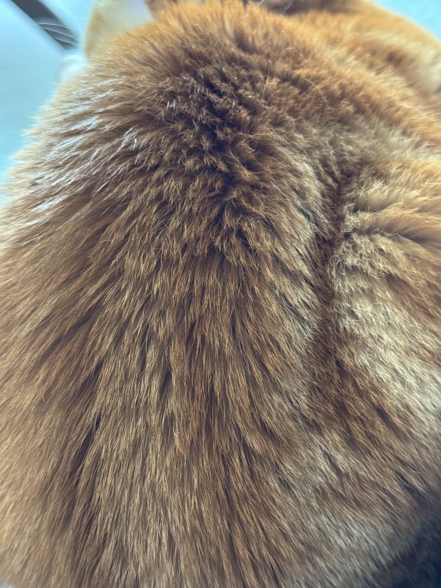 잘 익은 밤송이
아니구 김에버