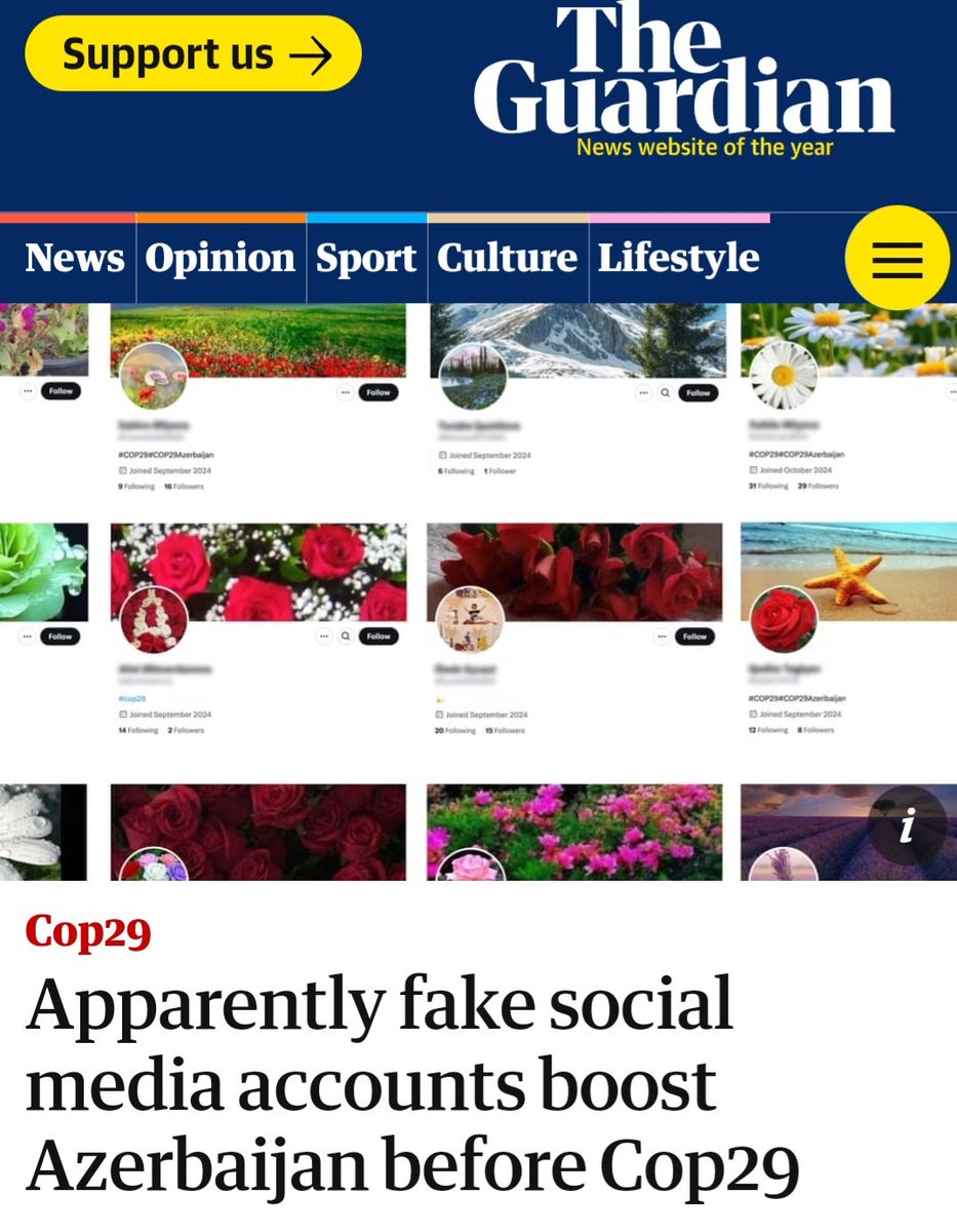 ArtSpangenberg's tweet photo. And once again, Aliyev is exposed ! @guardian "Apparently fake social media accounts boost Azerbaijan before #Cop29"
https://t.co/znb6E8jjDX #StopGreenwashGenocide #FreeArmenianHostages https://t.co/8BEfYh9vGU
