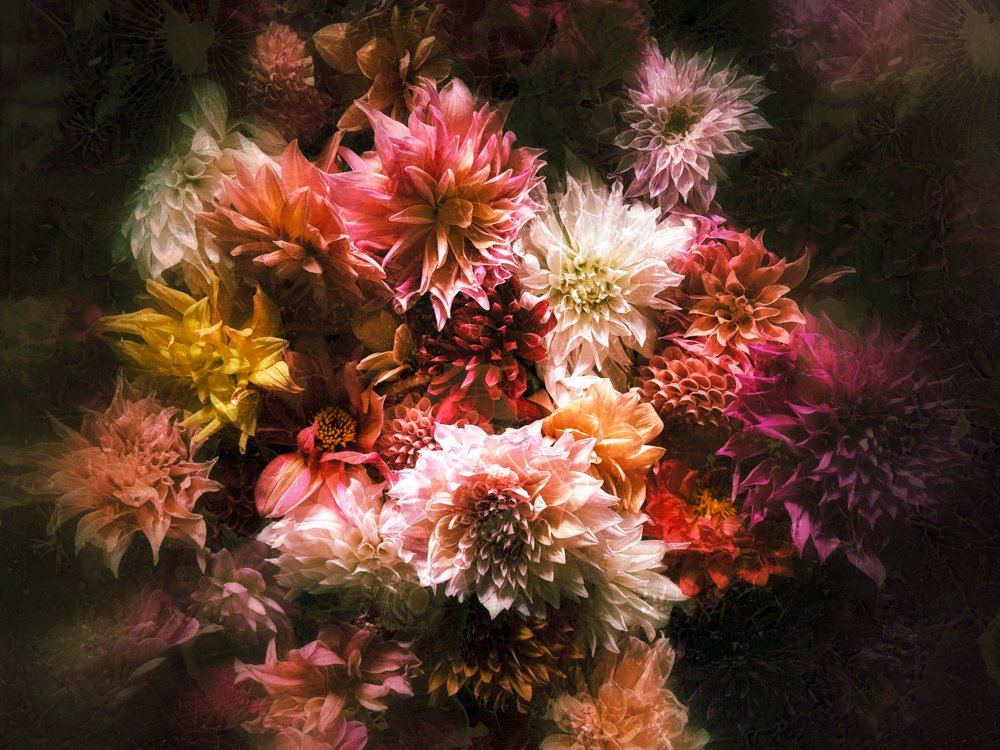 Paula Cooper tweet media