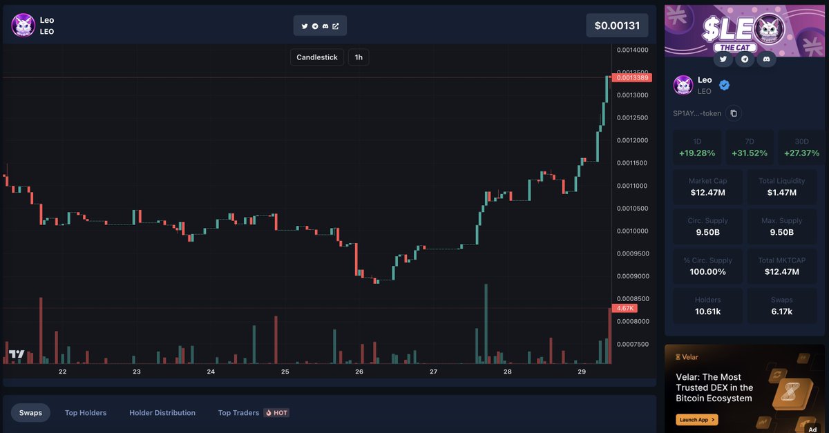 LeoCoinSTX's tweet photo. Bid the cat. $LEO https://t.co/1mokUiTK3v