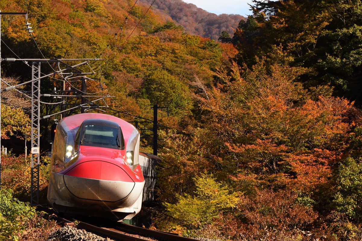 Kd93412's tweet photo. 秋の仙岩峠 https://t.co/oK3SRvIOYl