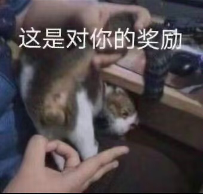 ELSADOS233's tweet image. 所以之前我给梯子充值之后，就忘记的我还有这个梯子了…(？？？)