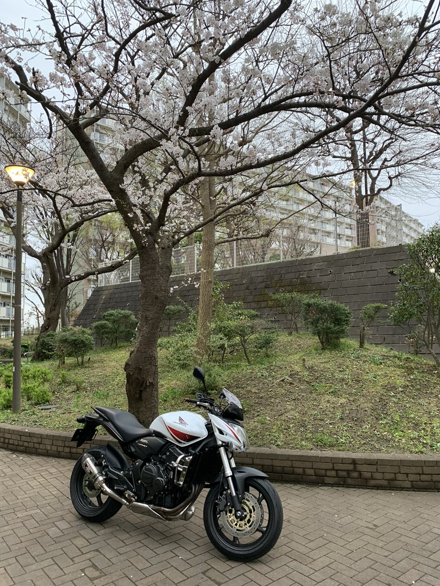 RyotaMC33JC9192's tweet photo. #オンラインホーネットミーティング
#CB600F
イタリアホンダ生産の超マイナーホーネット https://t.co/yjx4xVaYdf
