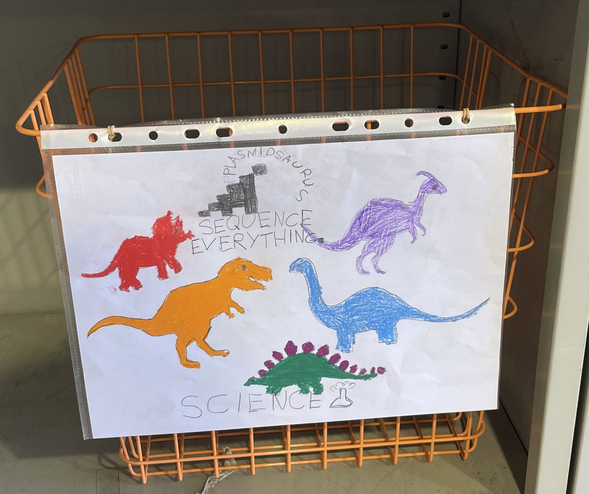 david bersten tweet media