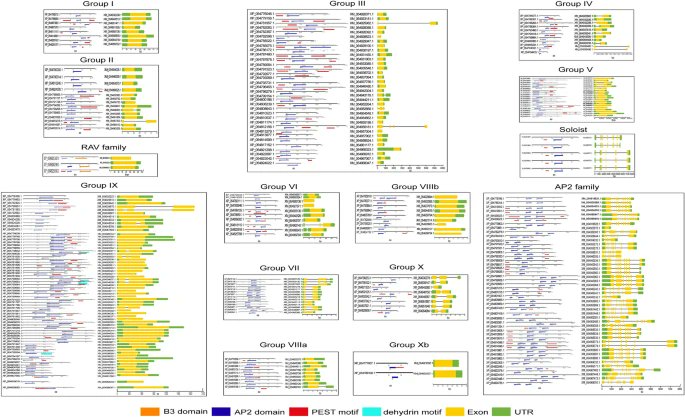 ARPAN DEY, IIT JODHPUR ๐ฎ๐ณ (@arpandeyind) on Twitter photo Check out our new work from Plant Genomics Lab of <a href="/iitjodhpur/">Indian Institute of Technology Jodhpur</a>
Grateful to my supervisor <a href="/ayanbiotechhitk/">Ayan Sadhukhan</a> and the amazing labmates โ๏ธ
#ResearchPapers #IIT #IITJodhpur #Genomics #Bioinformatics #Droughtstress #Abioticstress #DNA Check out our new work from Plant Genomics Lab of <a href="/iitjodhpur/">Indian Institute of Technology Jodhpur</a>
Grateful to my supervisor <a href="/ayanbiotechhitk/">Ayan Sadhukhan</a> and the amazing labmates โ๏ธ
#ResearchPapers #IIT #IITJodhpur #Genomics #Bioinformatics #Droughtstress #Abioticstress #DNA