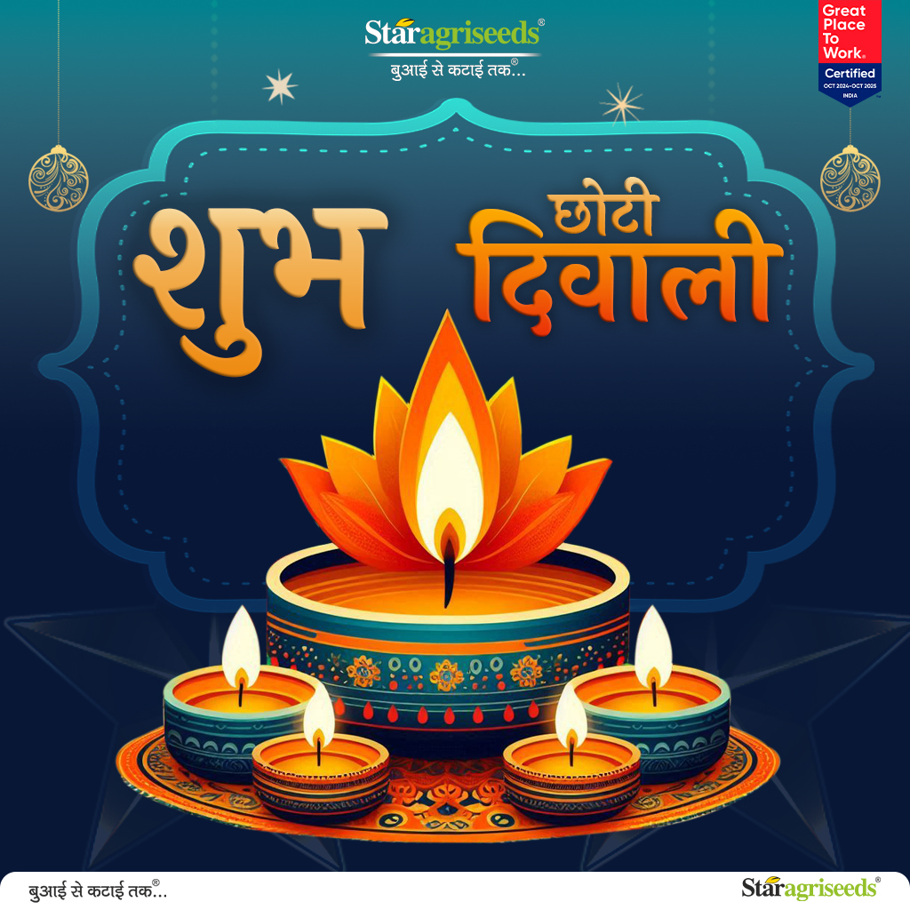 दीयों के संग मौजूद हों खुशियों के रंग
सब ओर हो खुशियां जीवन में हो उमंग

आपको छोटी दिवाली की बहुत-बहुत शुभकामनाएं

#𝐬𝐭𝐚𝐫𝐚𝐠𝐫𝐢𝐬𝐞𝐝𝐬 #𝐚𝐠𝐫𝐢𝐜𝐮𝐥𝐭𝐮𝐫𝐞 #𝐡𝐚𝐩𝐩𝐲𝐟𝐚𝐫𝐦𝐞𝐫 #𝐬𝐞𝐞𝐝𝐬 #𝐟𝐞𝐬𝐭𝐢𝐯𝐚𝐥𝐬 #𝐦𝐮𝐬𝐭𝐚𝐫𝐝 #𝐰𝐡𝐞𝐚𝐭 #𝐛𝐚𝐫𝐥𝐞𝐲