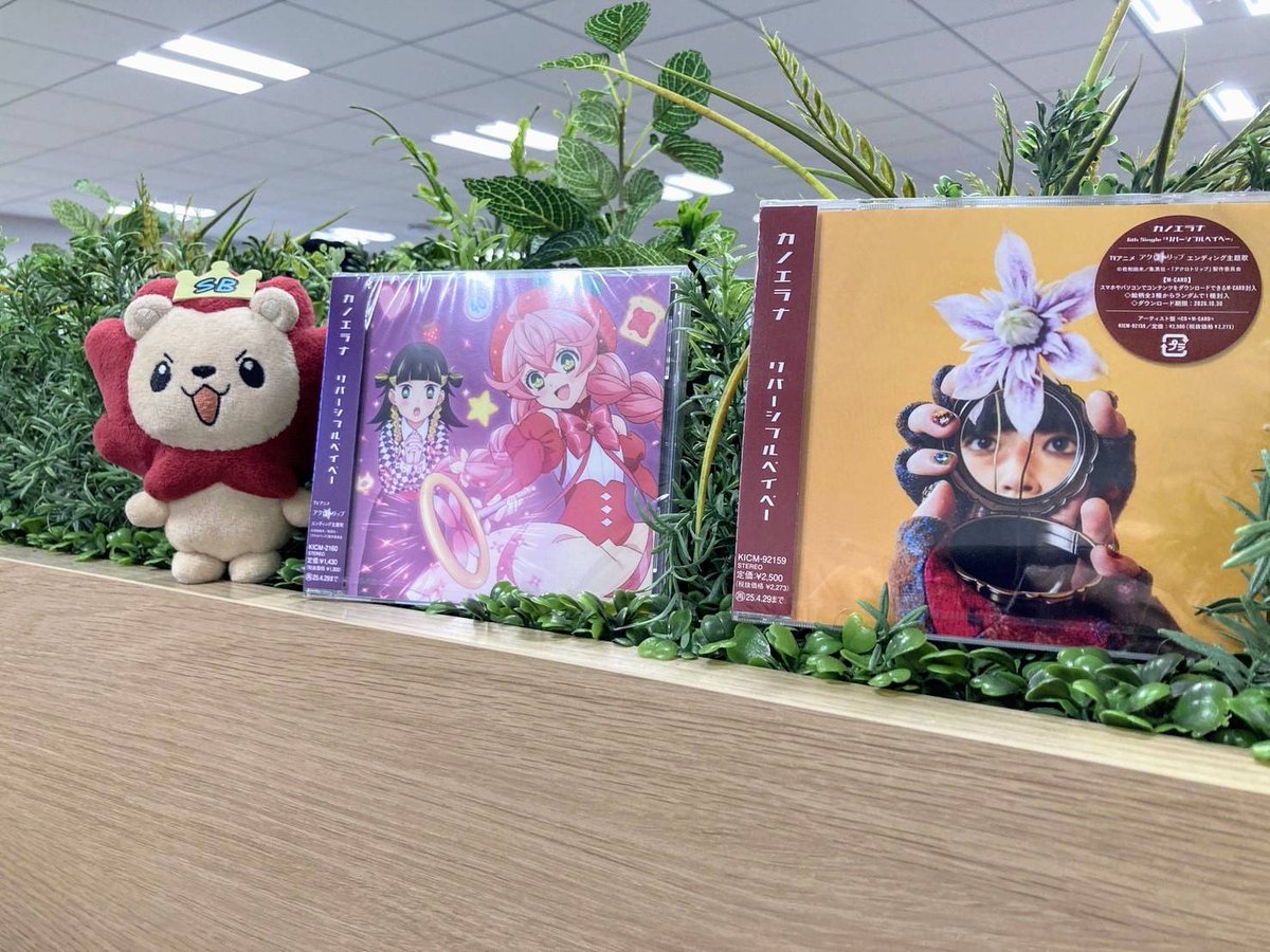 kincrow0322's tweet photo. TVアニメ『#アクロトリップ』ED主題歌

#カノエラナ さんの6th Single
「リバーシブルベイベー」
本日発売📀

本日19:30〜
タワーレコード池袋で
リリイベがあるぞっ🦉🦁

今週末もリリイベが続くみたいなので
みんな要チェック⚡️

🪧イベント詳細
https://t.co/d8FklVmPlt

#リバべ #きんくろう #KAC https://t.co/h20EYJdxLI