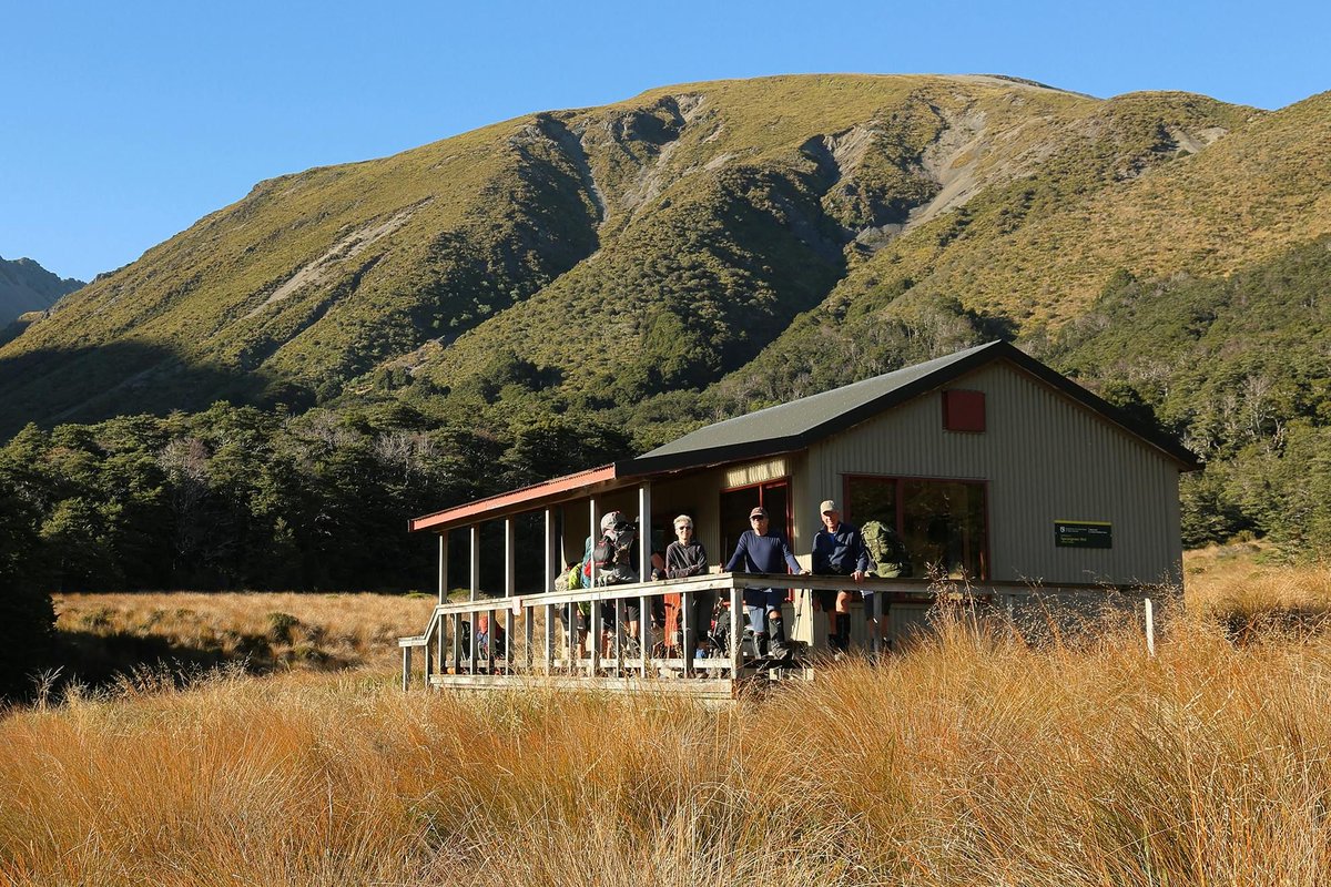 NZ Wilderness tweet media