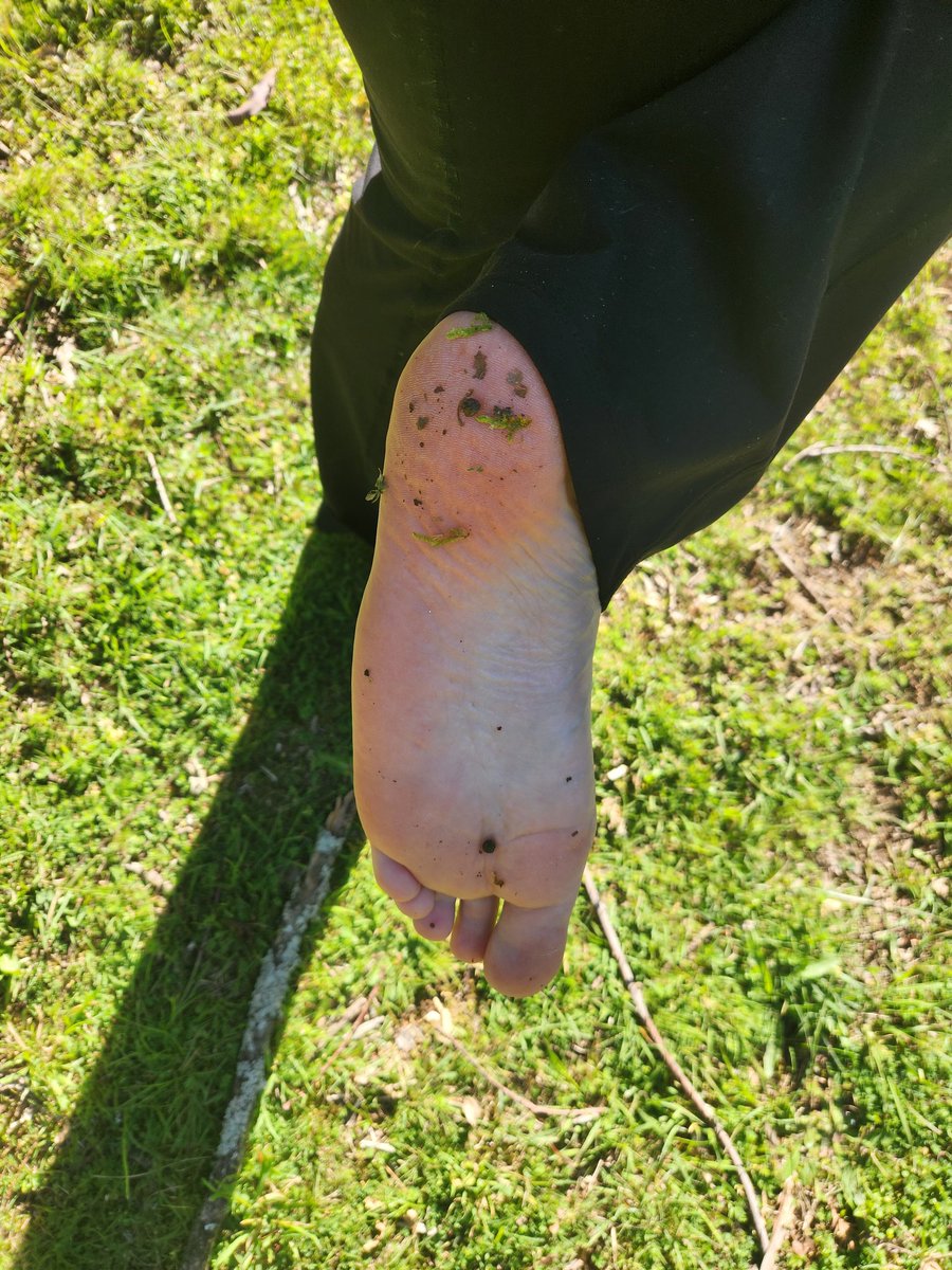 PrincessBrat23's tweet photo. Missed being in nature 🥰
#feetِ #footfetısh #feetworshi̇p https://t.co/ALKhNPNanh