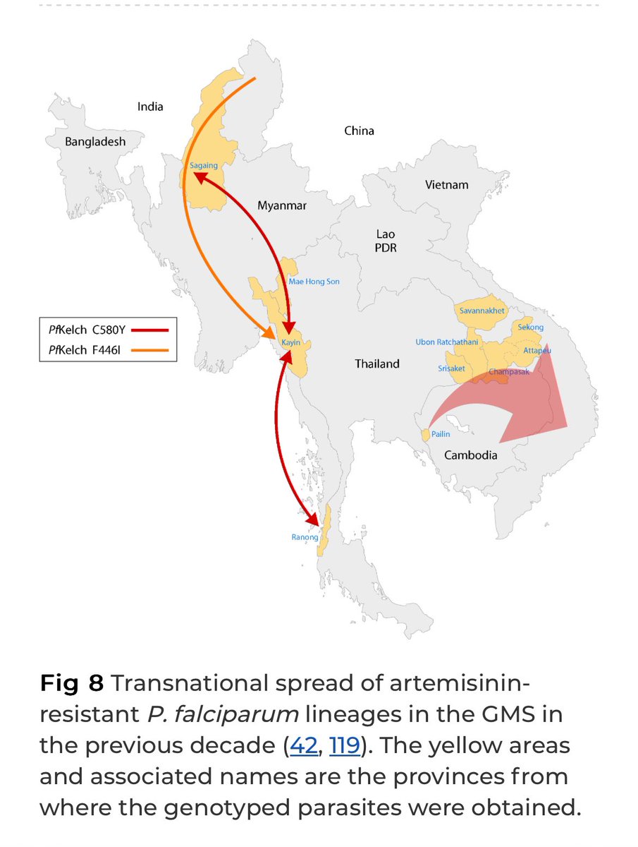 Derivados #Artemisa 💊🌿tratamiento principal #MALARIA🩸🦟 pero ⚠️: A veces #resistencias!😱
Países afectados📸👇🏻
Revisión📚 #ClinMicroRev q incluye #TRATAMIENTO y #DiseminacionGeografica
IMPORTANTE si la malaria d tu paciente d países con resistencia‼️
🔗pubmed.ncbi.nlm.nih.gov/39404268/