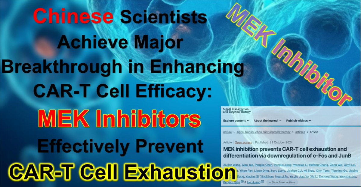 Advanced_Medici's tweet photo. Chinese Scientists Achieve Major Breakthrough in Enhancing CAR-T Cell Efficacy: MEK Inhibitors Effectively Prevent CAR-T Cell Exhaustion

#CARTCellTherapy #MEKInhibitors #CART #MEK

WhatsApp: https://t.co/wjmfIYSqvq
Email: doctor.huang@globecancer.com

→https://t.co/PYmKjVRsq2 https://t.co/fnBiXIVlFH