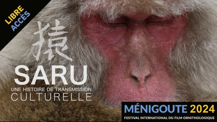 Cédric Sueur - Les Péripéties d'un primatologue tweet media