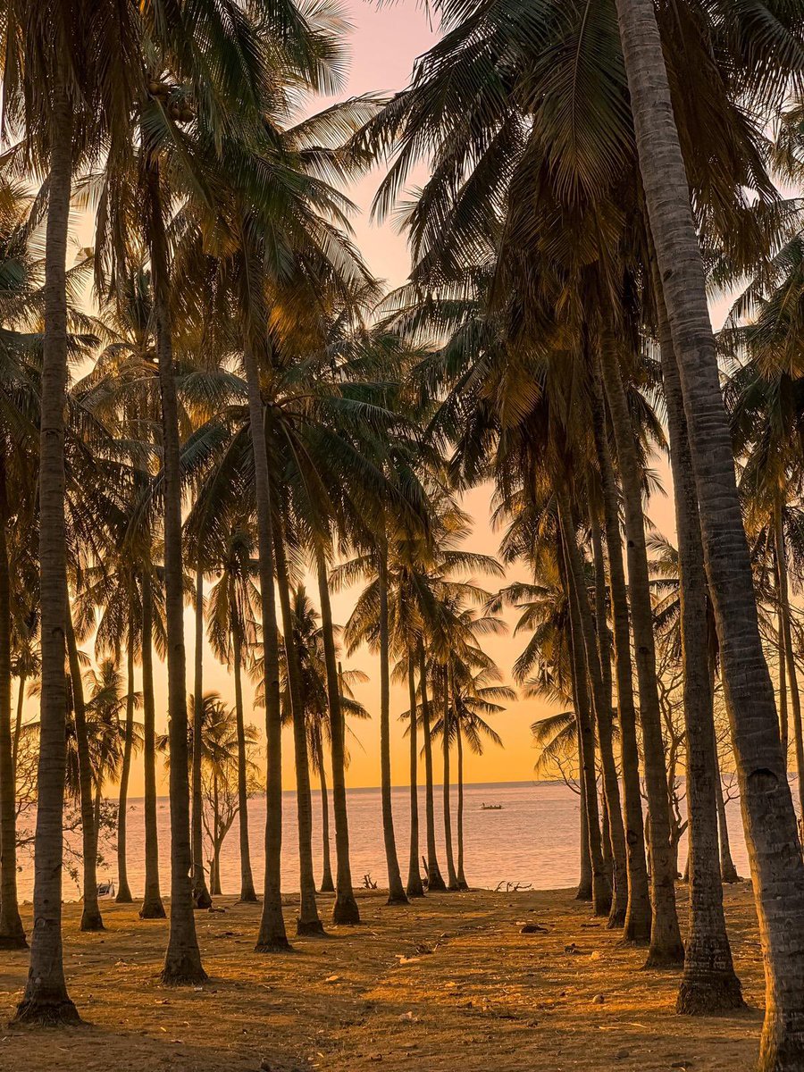 cikpahsofea's tweet photo. As one of the sunset lovers. https://t.co/V5rGLH9Rgq