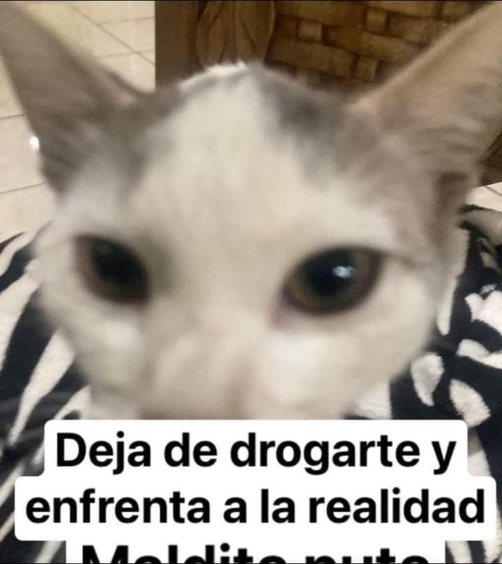X¡am tweet media