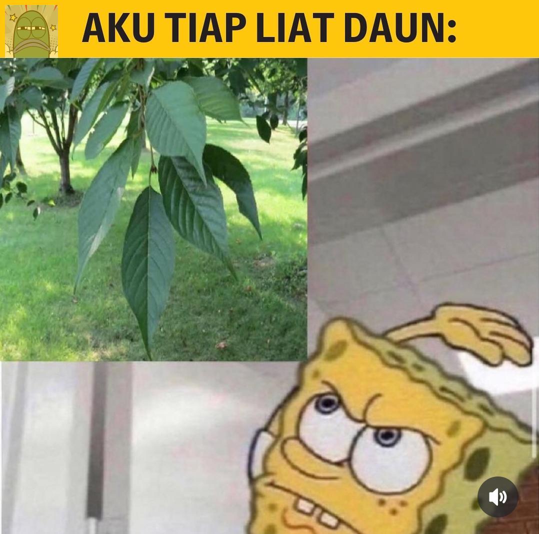 💚 R E L A T E 😭😭