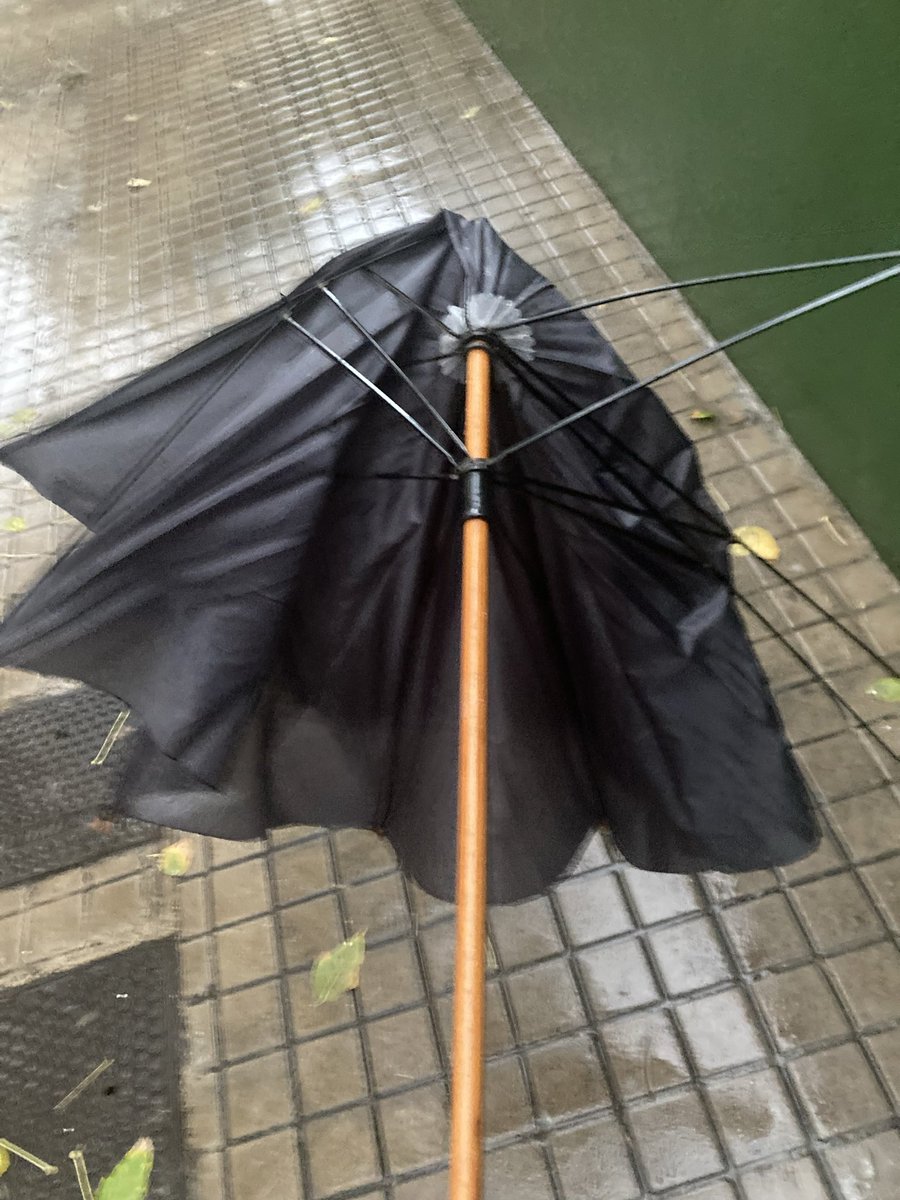 Josep Albero Sancho tweet media