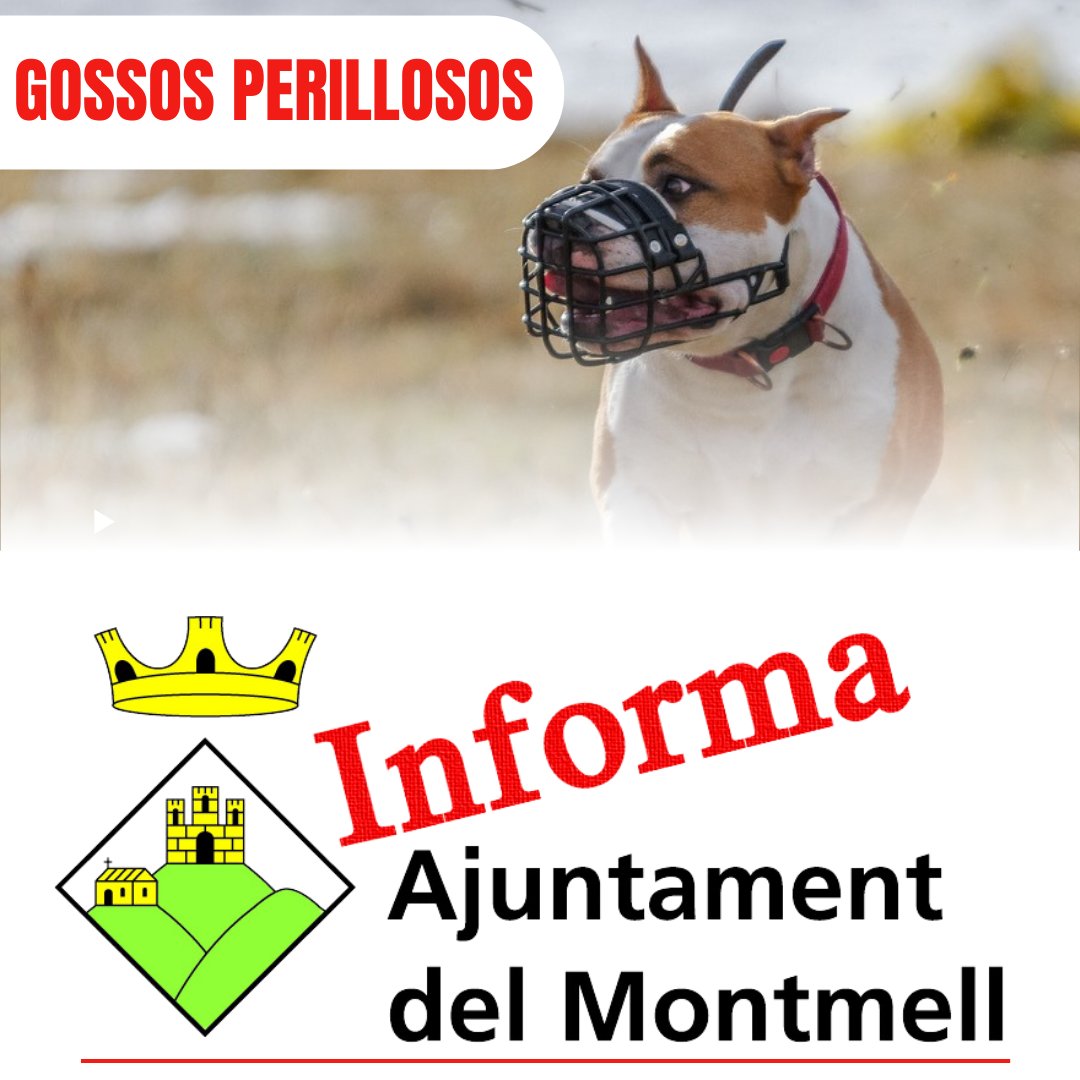 🛑 Intervenció de SEPRONA en coordinació amb l'Ajuntament del Montmell 🛑

El Servei de Protecció de la Naturalesa de la Guàrdia Civil (SEPRONA), en col·laboració amb l'Ajuntament, ha dut a terme el comís de dos gossos de raça potencialment perillosa: elmontmell.cat/noticies/inter…