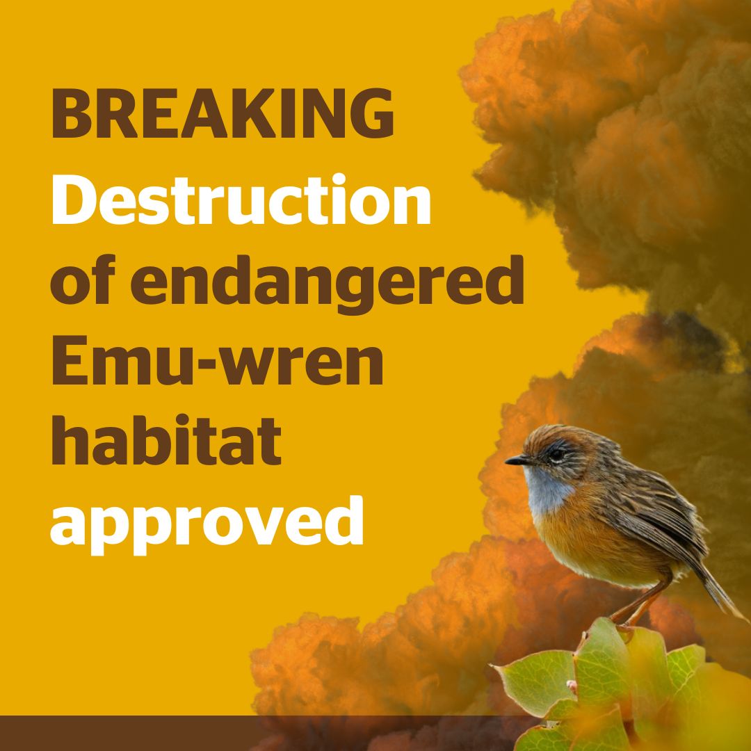 AusConservation tweet picture