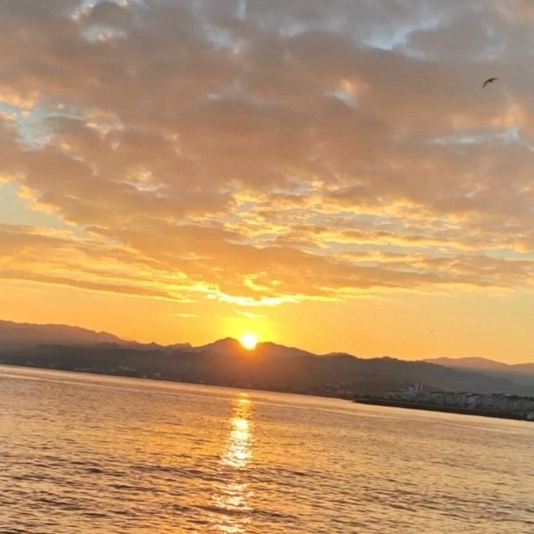 bpthaber's tweet photo. Ordu'da gün doğumuna yansıyan ‘ay-yıldız’ silueti. 🇹🇷 https://t.co/AFlFyah9m5