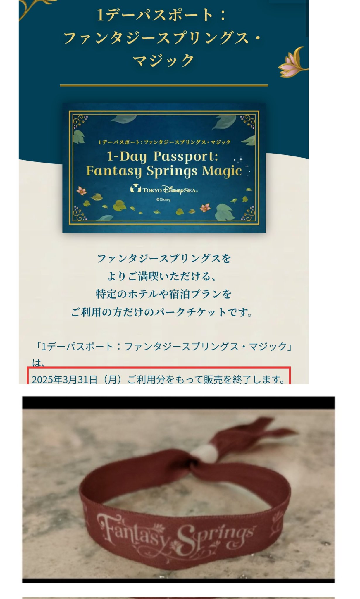ディズニーファンタジースプリングス チケット TDS新エリア乗り放題チケット】ファンタジースプリングス