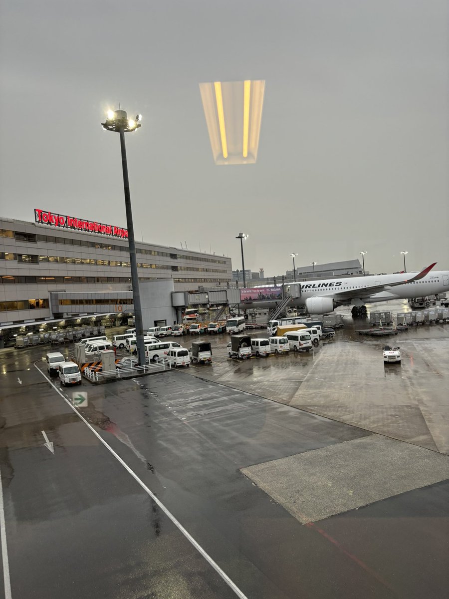 ちょっくら愛媛まで✈️