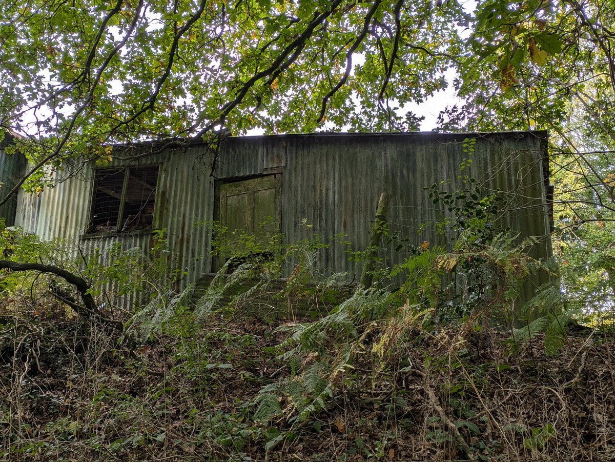 It's a shed, it's made of tin and it's Tuesday #TinShedTuesday from a recent estuary walk along the Wivenhoe Trail 😉