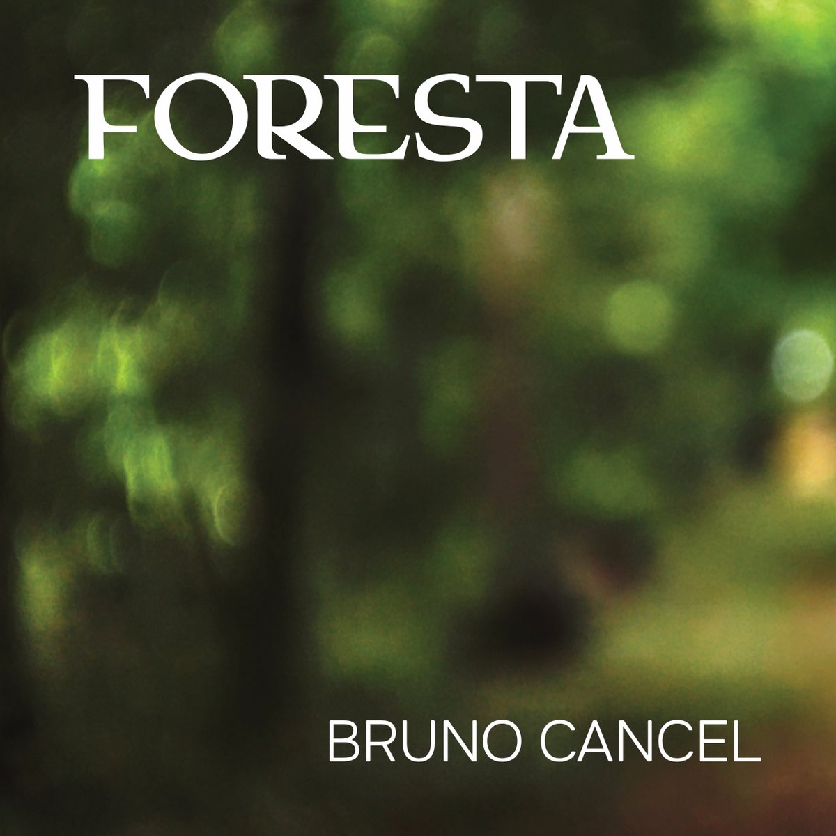 martinvilliger's tweet photo. 🎶 "Foresta" by Bruno Cancel 🌌

Album out on October 31st:
Bruno Cancel’s latest album, "Foresta", is inspired by electronic pioneers like Jean-Michel Jarre, Vangelis, and Kraftwerk. Cancel paints a vivid soundscape that transports listeners into another world. 🎧✨ https://t.co/gRSzj7reUb