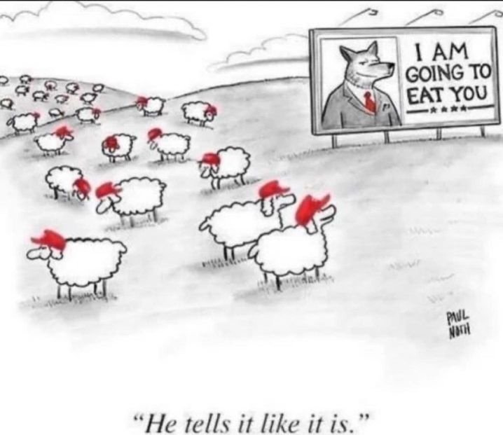 Rob W ❤⭐🖤 tweet media