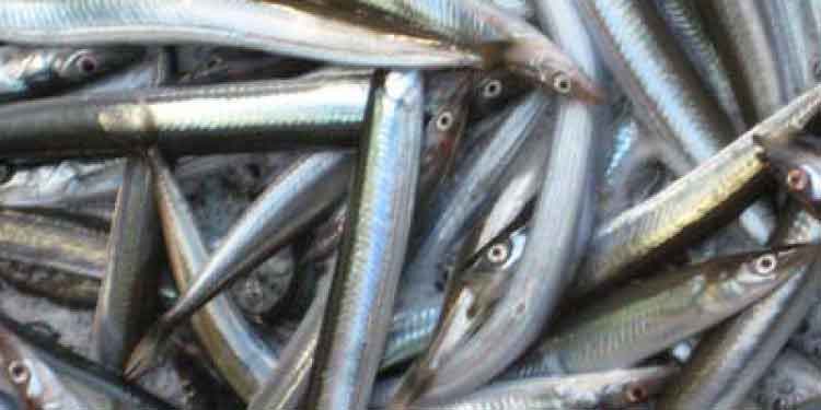 EU lægger pres på Storbritanniens tobisforbud dlvr.it/TFqw80