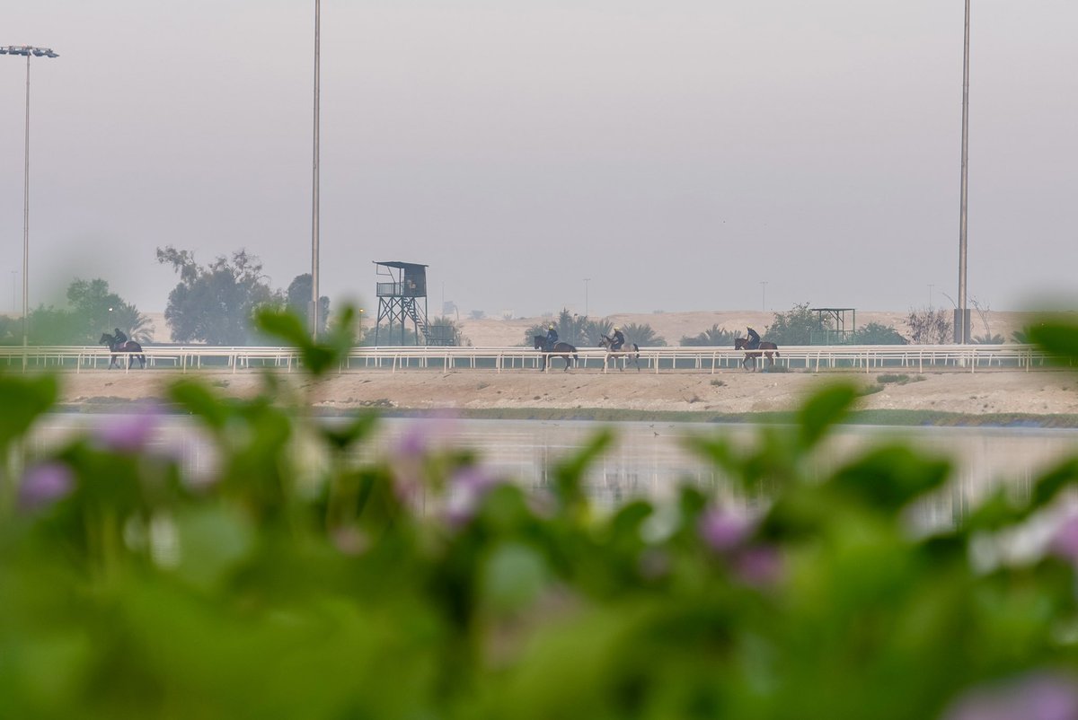 BahrainTurfClub's tweet photo. Preparations continue 🤩🌅

First meeting:

🗓️ 1 November 2024 
⏰ 3:30PM 

Looking forward to seeing you all! 🙌
#BahrainTurfClub
#SeeBahrainInANewLight https://t.co/dyNvGV3Hdr