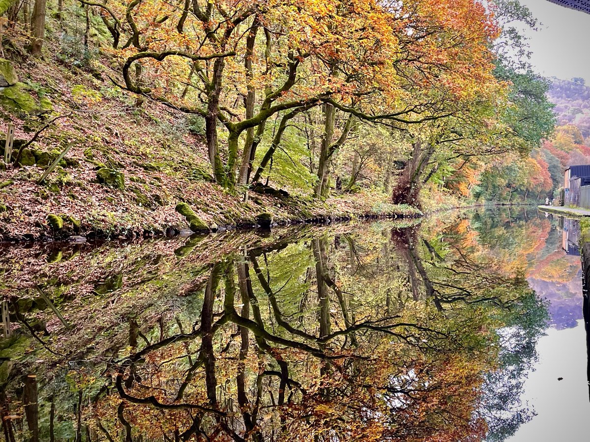 Week of Nature Connection:
Day 2: Discovering Beauty
Take a moment to savour nature’s beauty.
Notice the colours, shapes, and textures that make the natural world around you so captivating. Capture a moment and share it with us.

#FindBeautyOutside #NatureTherapy #MentalWellbeing
