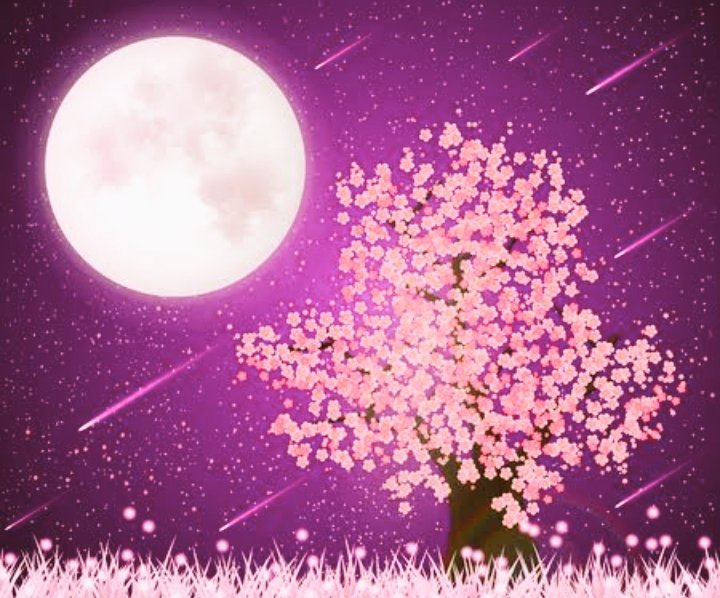 sosoaus_gyu's tweet photo. Au #RYUVIN |LUNA ROSA|
Cuando pierdes a alguien importante duele, pero saber que tienes que seguir adelante, es como si te arrancarán el corazón, a menos que alguien más lo reconstruya 🌸 https://t.co/Q2QEwgf6jo