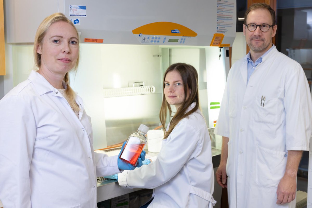 Drug sensitivity testing on leukemia cells can predict how patients with acute myeloid leukemia (AML) will respond to a new combination therapy. 
New <a href="/LabKontro/">Kontro Lab</a> results allow treatments to be tailored to those who are most likely to benefit.
📰<a href="/HUS_fi/">HUS Helsingin yliopistollinen sairaala</a>:
hus.fi/en/newsroom/dr…