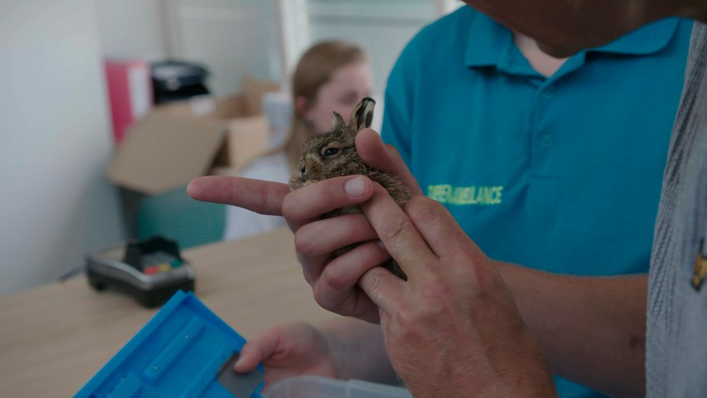 DierenLot's tweet photo. Altijd al iets willen doen voor de maatschappij? Denk dan ook aan de dieren! Dierenhulporganisaties bij jou in de buurt kunnen je hulp goed gebruiken, al is het slechts een aantal uur in de maand. Kijk op onze website voor actuele vrijwilligersvacatures: https://t.co/dG4RmgseWH https://t.co/Fgl4QVIBZm