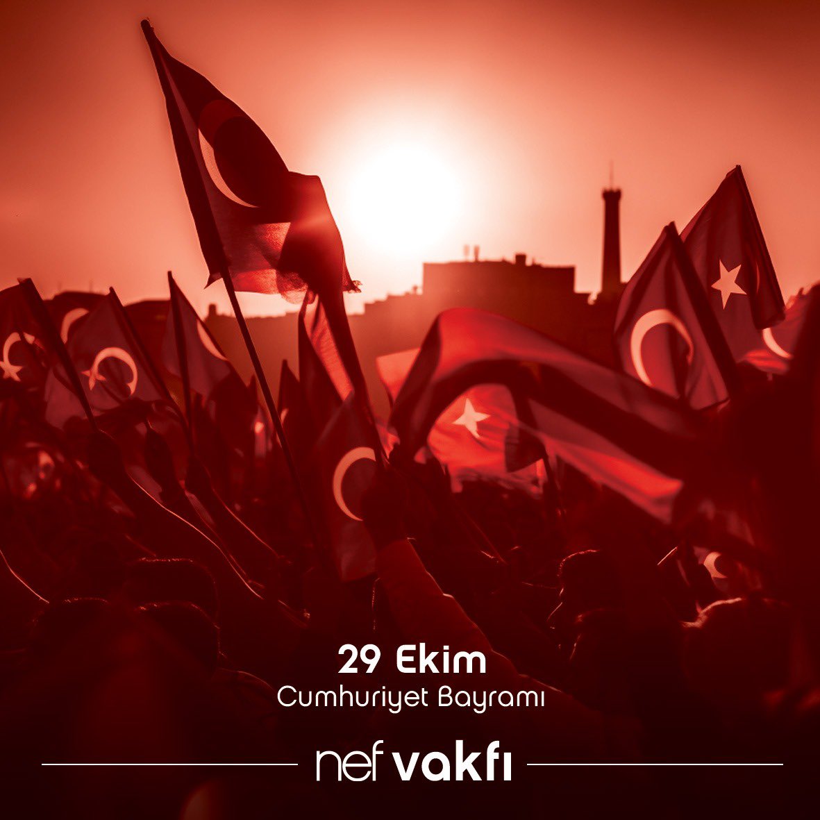 nef vakfı tweet media