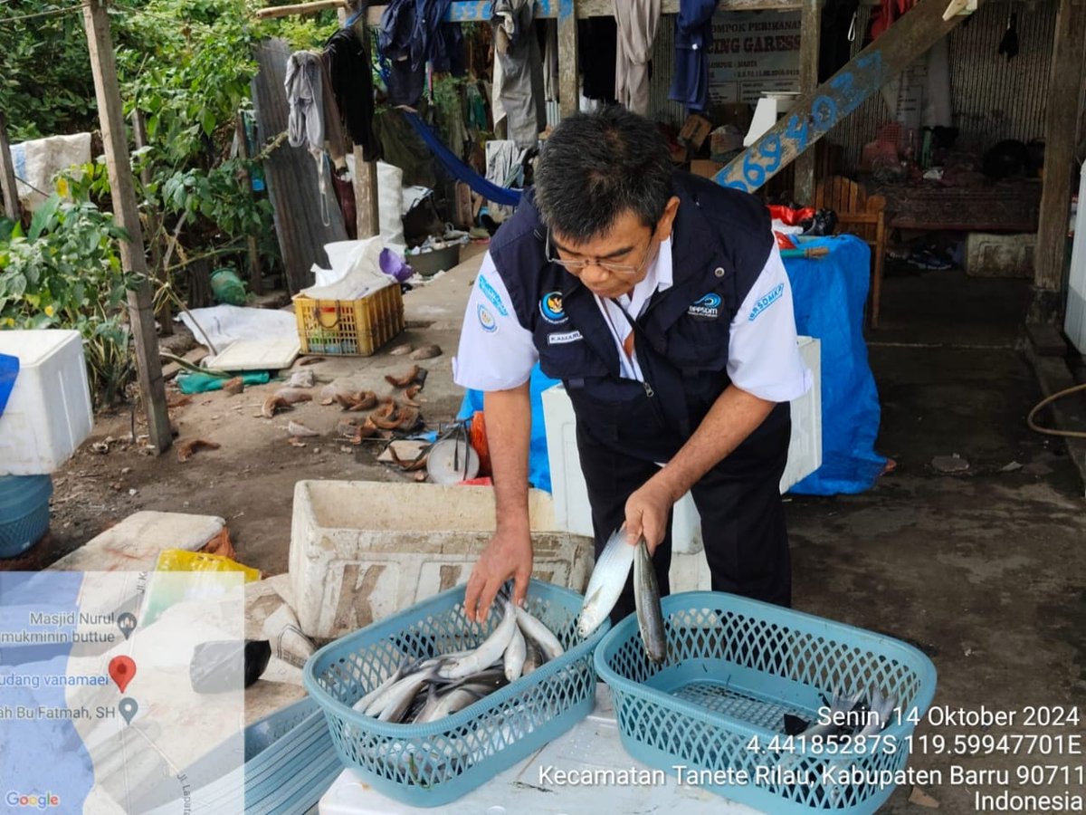 kamaruddin_ppl's tweet photo. Senin 14/10/24, Kamaruddin. S. Pi, Kab. Barru, (H.Mansur) Pokdakan Kaluku Loloe, Penjualan Ikan Bandeng, Sebanyak 200 Kg, Harga Jual Rp 50.000/Kg.
#GiatLuhkanSatminkalMaros 
#Barru @BRPBAP3_Maros
#Produksi https://t.co/wZM9FiQXfq