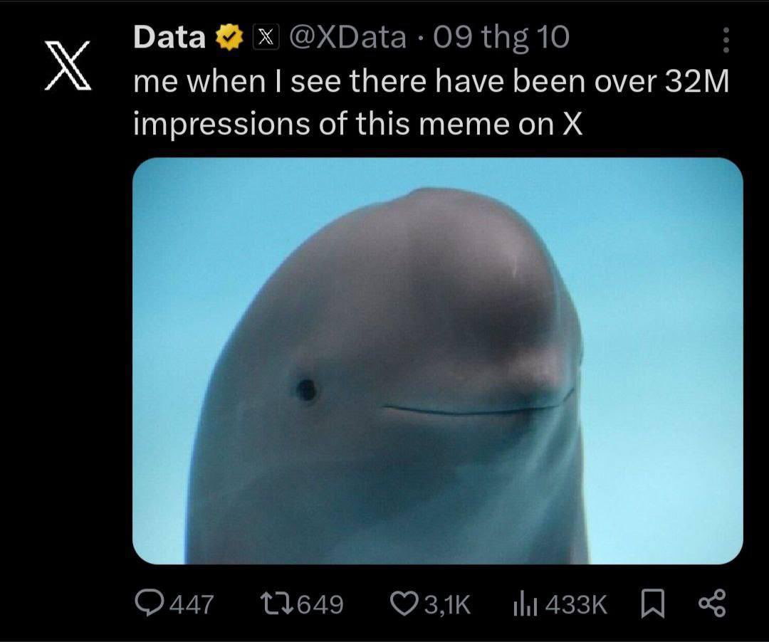 模拟盘天选之子-佩德里 tweet media