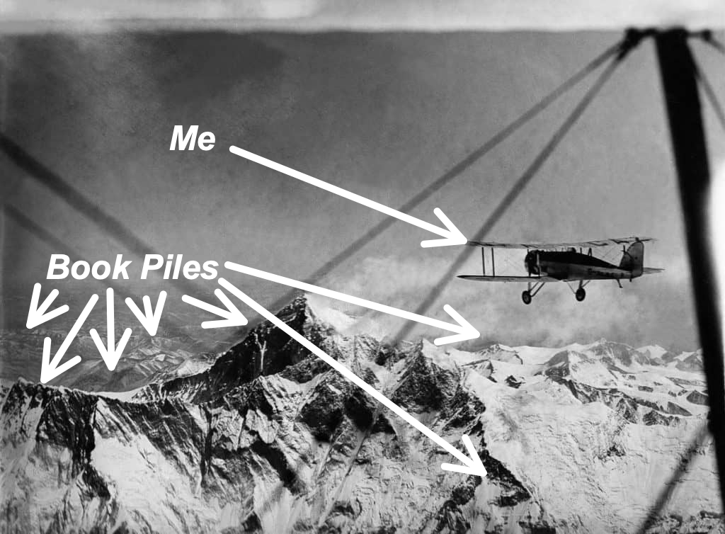 James D Kightly tweet media