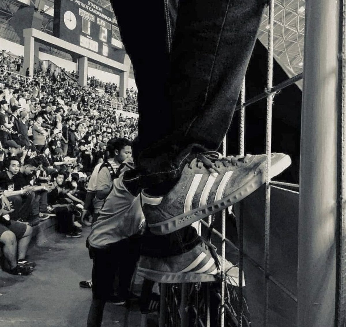 𝗚𝗘𝗡𝗘𝗥𝗔𝗧𝗜𝗢𝗡 𝗢𝗙 𝗦𝗖𝗔𝗥𝗦 tweet media