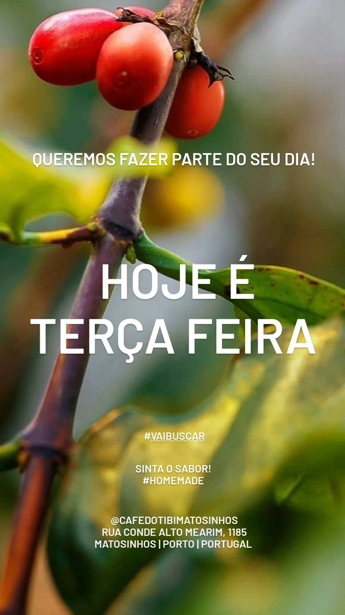pfmdias's tweet photo. BOM DIA 😋

Bolos da Vera, SINTA O SABOR!
👉 Quadrados de chocolate 

DEIXA A MARMITA EM CASA!
👉 O NOSSO PANADO 
👉 BAGUETE DE DELICIAS 
👉 FOLHADO MISTO 
🏠 Home Made
 
Queremos fazer parte do seu dia! 😉
#vaibuscar 
Café do Tibi Matosinhos  
@cafedotibimatosinhos https://t.co/5iju3BCRkc