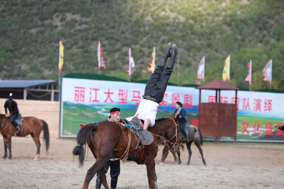 LijiangAmazing's tweet photo. Lijiang’s Mongolian community put on a spectacular show, wowing the audience with breathtaking horseback performances! ��✨ 🌄🎶 #MongolianCulture #HorsebackPerformance #LijiangTraditions #CulturalHeritage https://t.co/iCKLVeO6jt